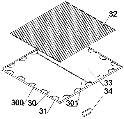 Large-area soil culture method of dracaena sanderiana and culture equipment