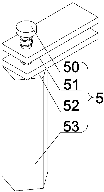 Large-area soil culture method of dracaena sanderiana and culture equipment