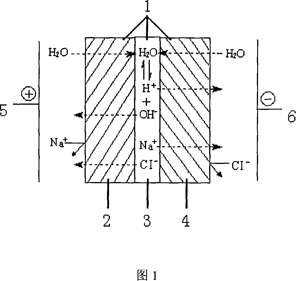 Double pole film with hyperbranched polymericcompound as the intermediate boundary layer and method of preparing the same