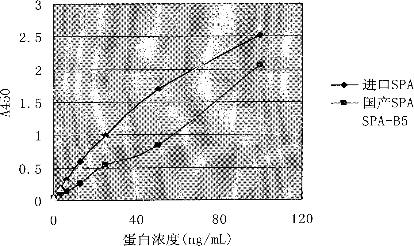 Artificial recombinant penton protein A, construction method and use thereof