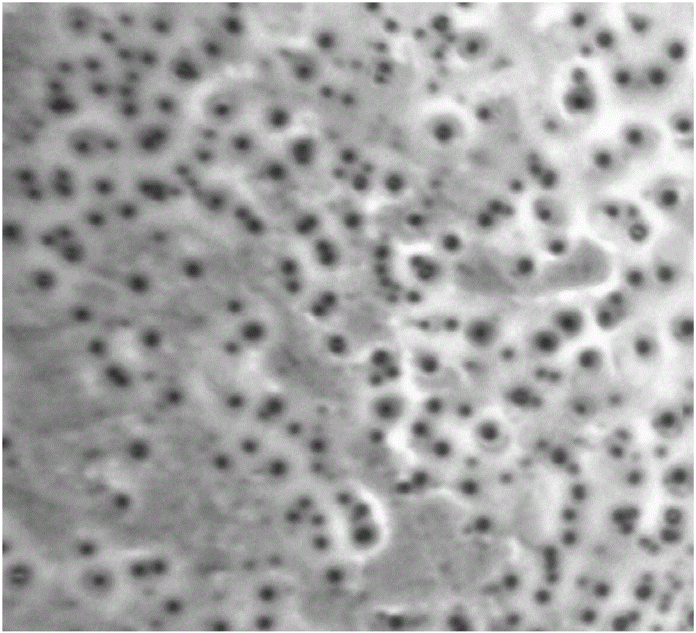 Edwardsiella tarda subunit oral microencapsule vaccine for aquatic product