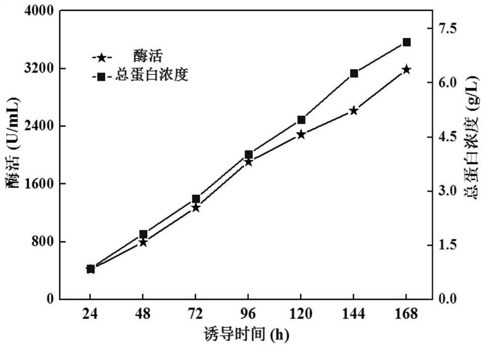 Endoglucanase gene, endoglucanase, and preparation method and application of endoglucanase