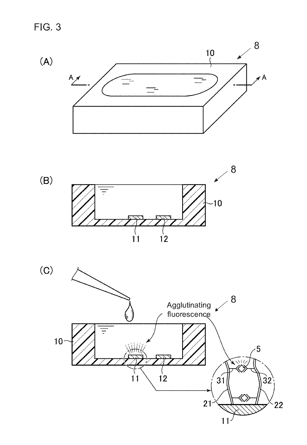 Analyte concentration measuring method, particle containing agglutinated fluorescent material, and inspection device