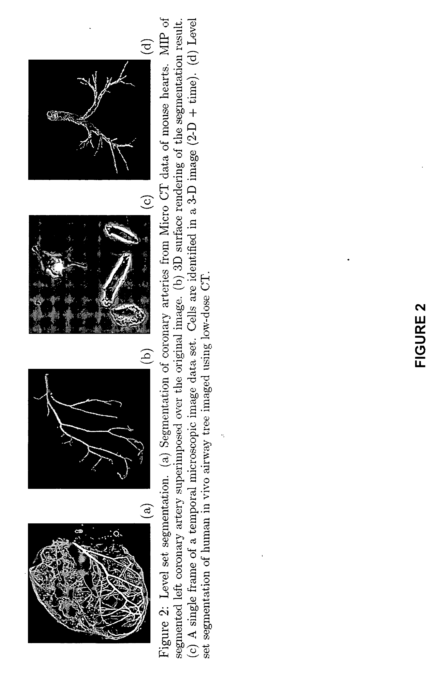 System and methods for image segmentation in n-dimensional space