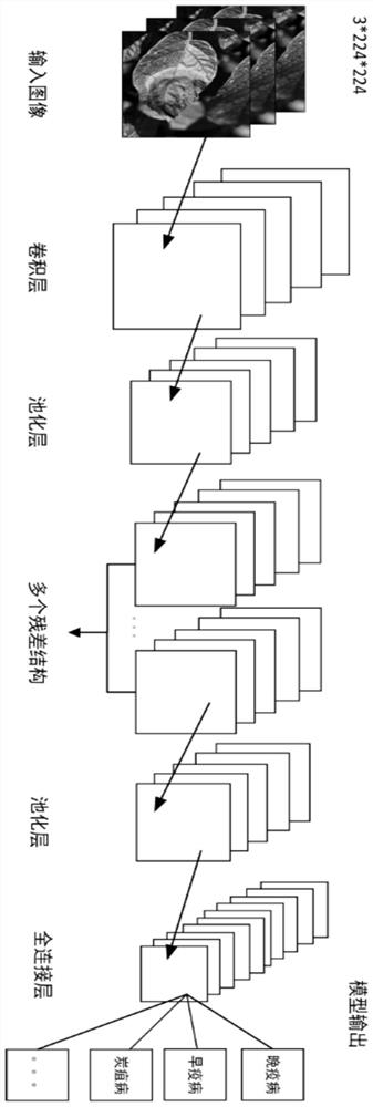 Potato disease identification method based on convolutional neural network