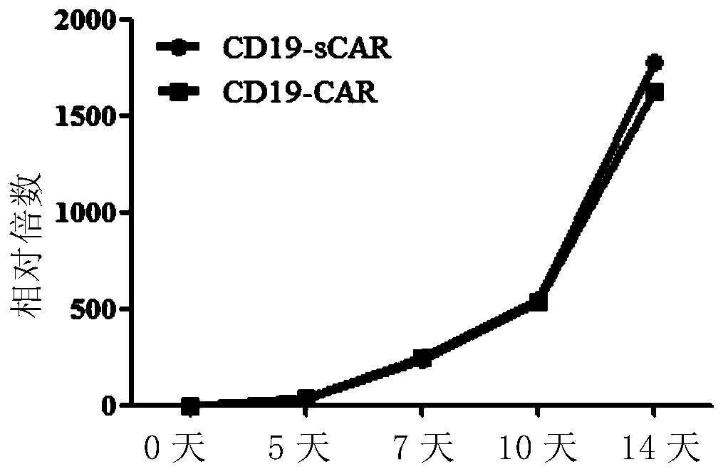 A chimeric antigen receptor for high-efficiency directed amplification in vitro and its application