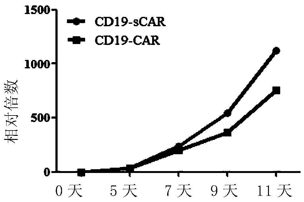 A chimeric antigen receptor for high-efficiency directed amplification in vitro and its application