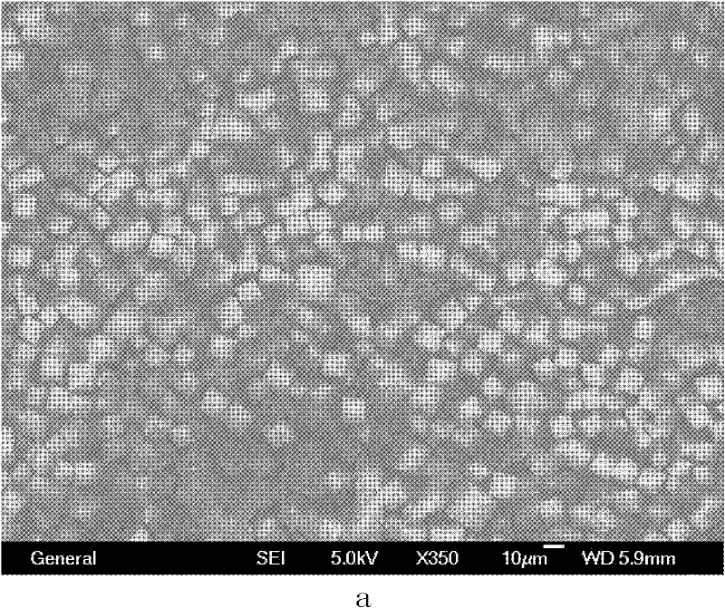 Method for synthesizing phosphorus-silicate-aluminum molecular sieve with metal-amine-complex as template