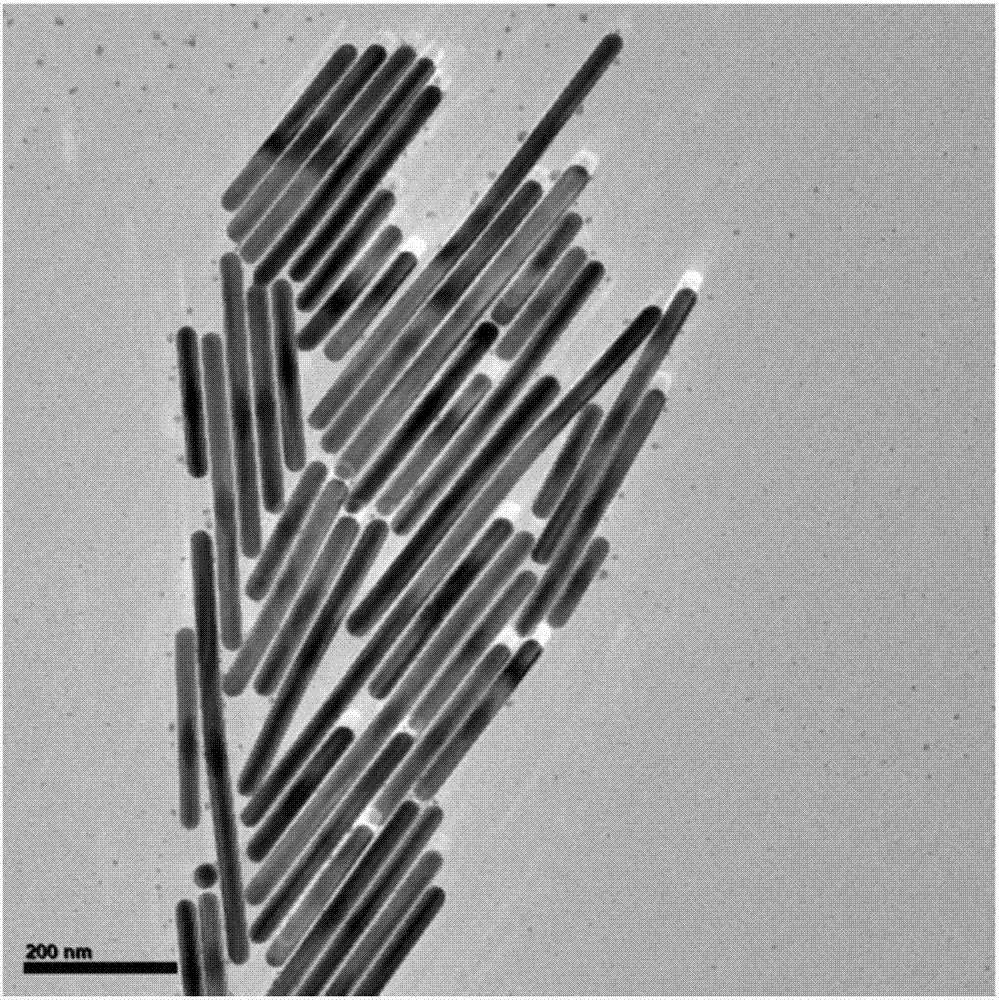 Silver nanorod/ polymer/ silver nanosheet core-shell nanometer material and preparation method and application thereof