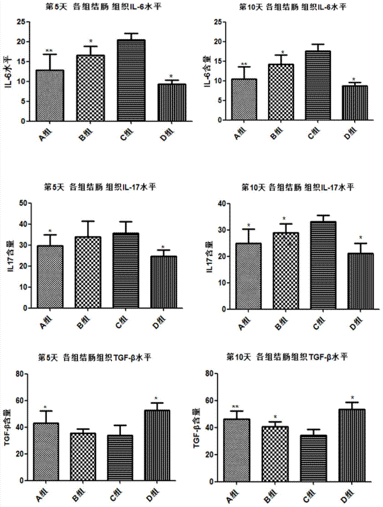 Compound combined medicament for treating ulcerative colitis and preparation method of compound combined medicament