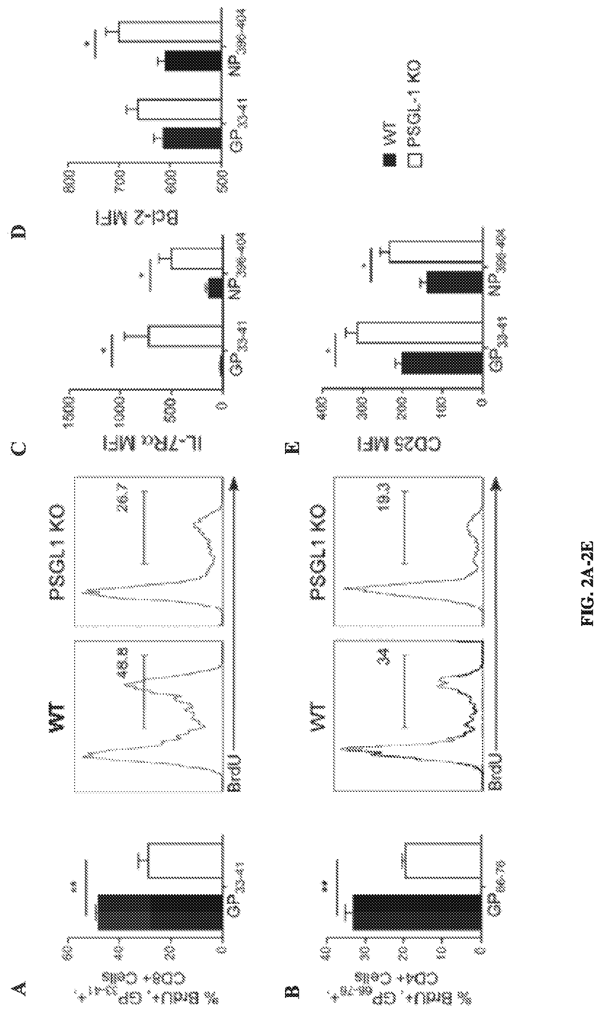 PSGL-1 modulators and uses thereof