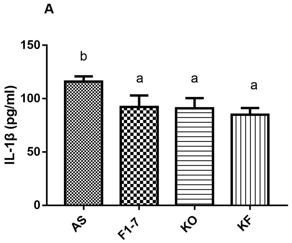 Preparation method and application of animal bifidobacterium F1-7 and euphausia superba oil composition for improving atherosclerosis inflammation
