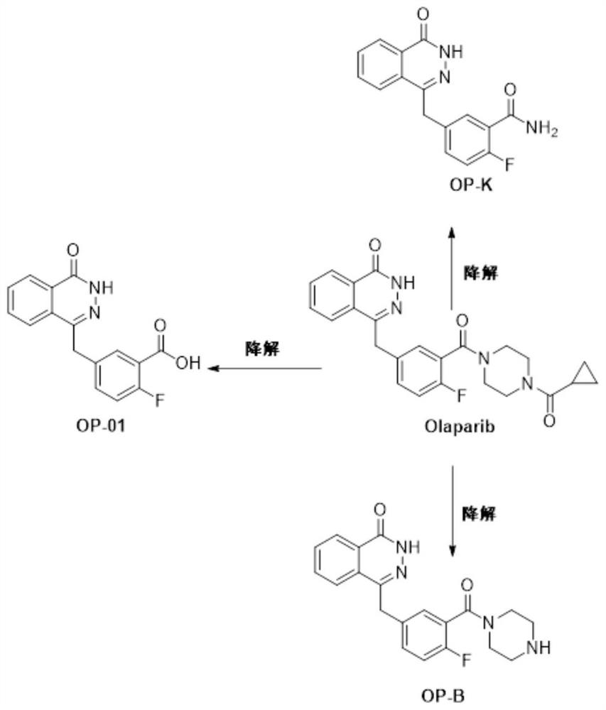 Olaparib release related pharmaceutical composition