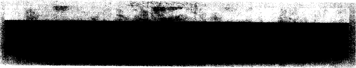 Preparation method of creature dross grain emulated crystallite glass composite plate