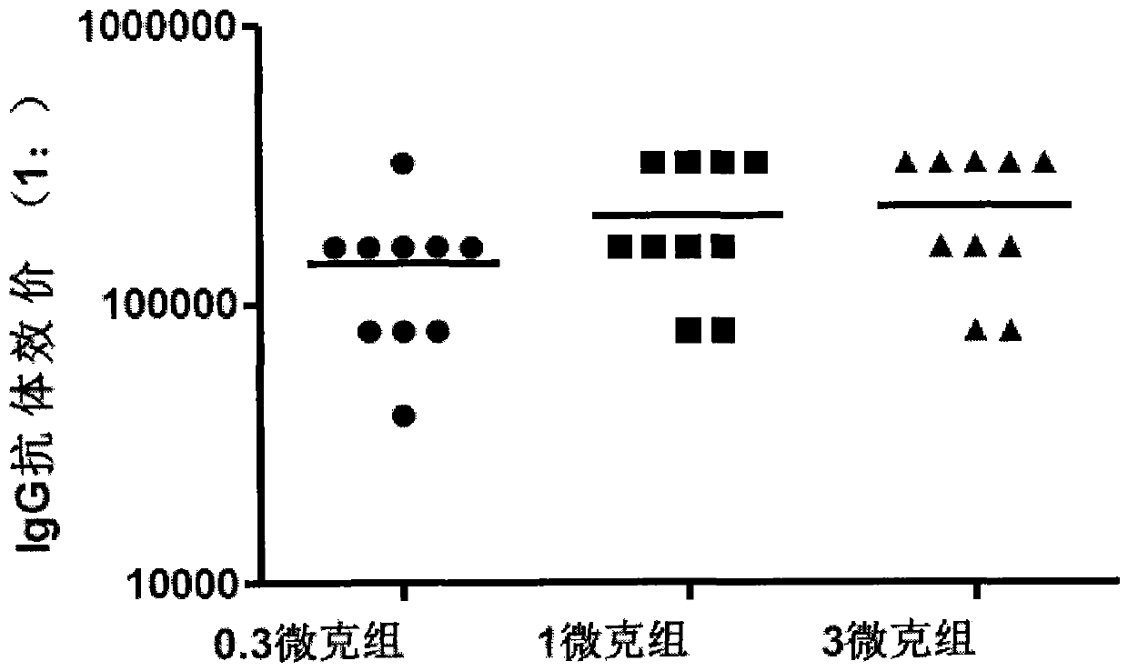 Coxsackie virus a16 type virus strain, application, vaccine and preparation method thereof