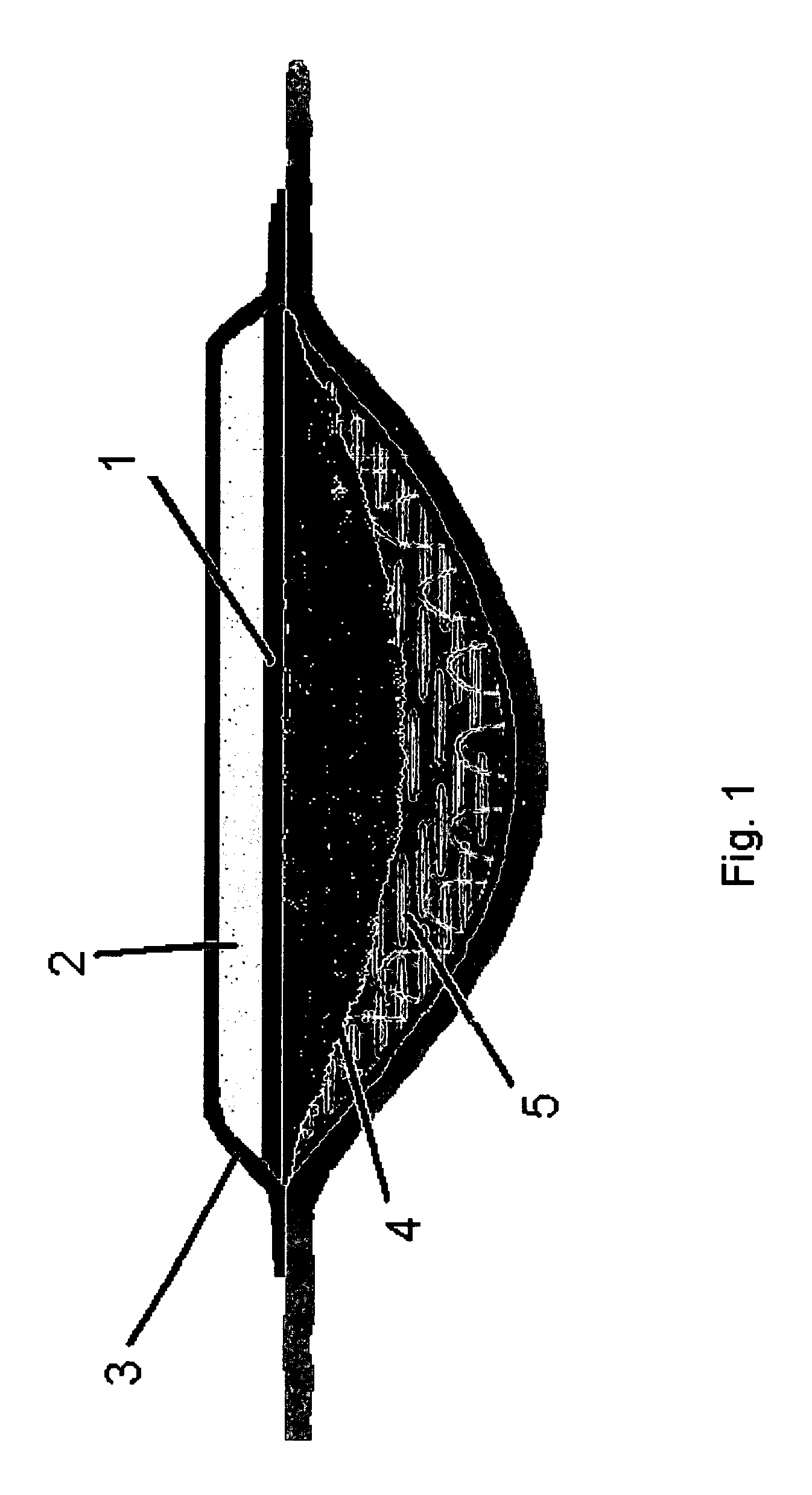 Controlled release dressing for enzymatic debridement of necrotic and non-viable tissue in a wound
