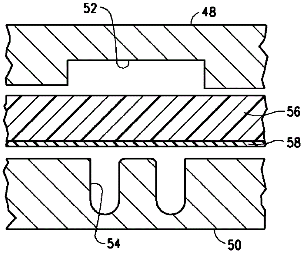 Oriented fluoropolymer film