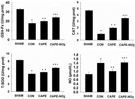 O-nitro caffeic acid phenethyl ester, preparation method and application thereof