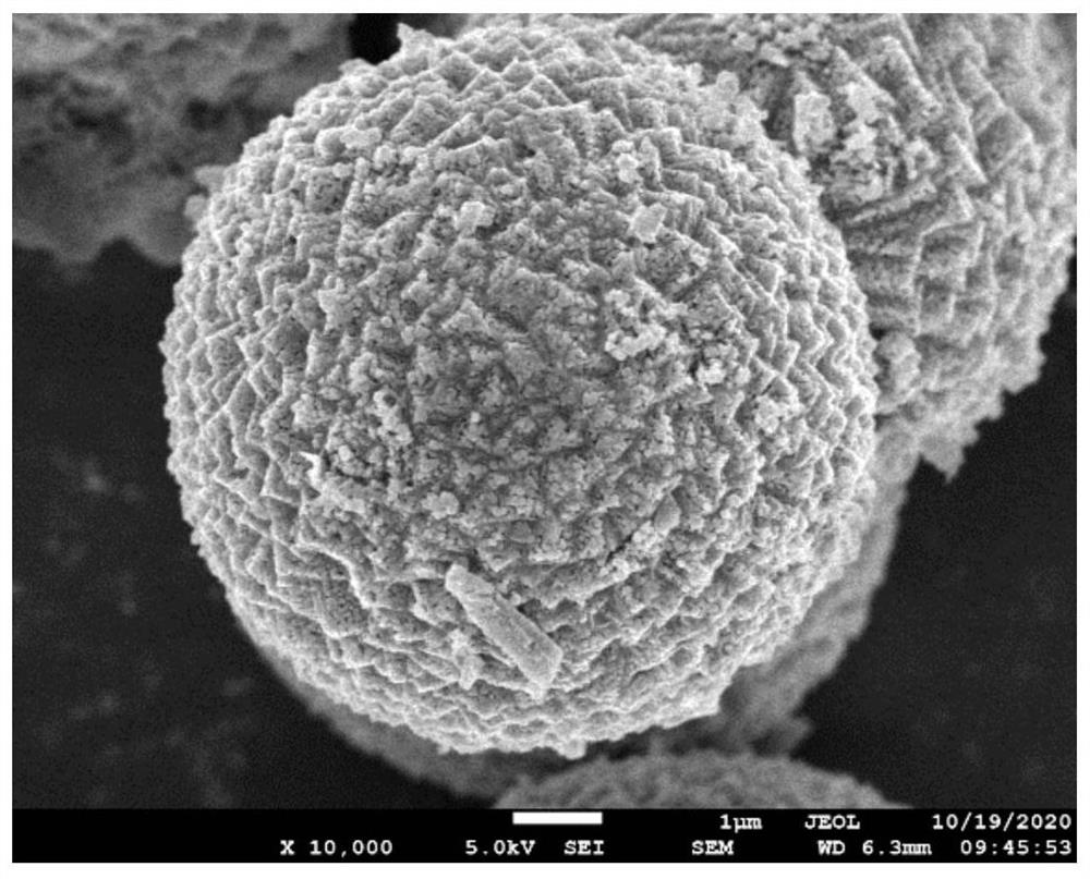 Aqueous zinc ion battery positive electrode material, preparation method thereof and aqueous zinc ion battery