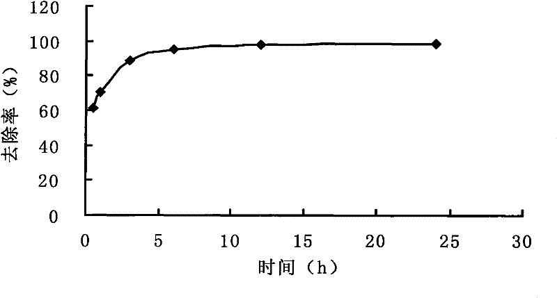 Method for treating tetracycline waste water with iron-modified attapulgite adsorbent