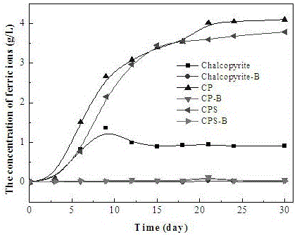 Method for reinforcing leaching of chalcopyrite microorganisms