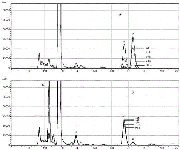 Aspergillus oryzae capable of effectively degrading 3-PBA (3-phenoxybenzoic acid)