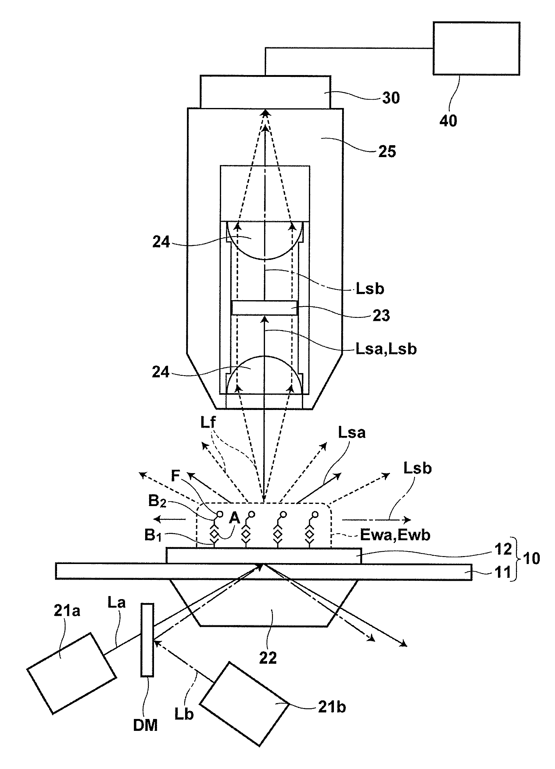 Flourescence detecting method and fluorescence detecting apparatus