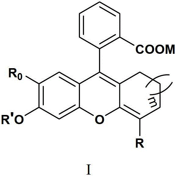 Preparation method of fluorescence dye using fluorescein as matrix and application thereof