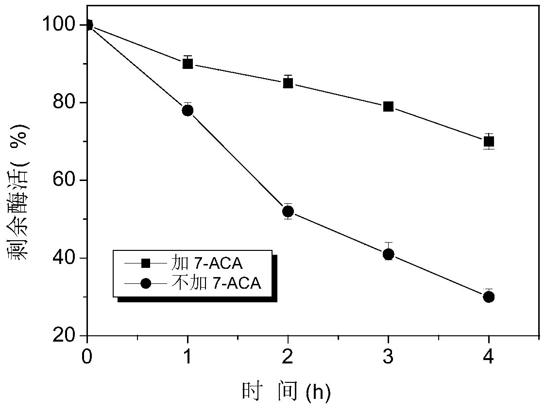 Preparation method and application of 7-aminocephalosporanic acid