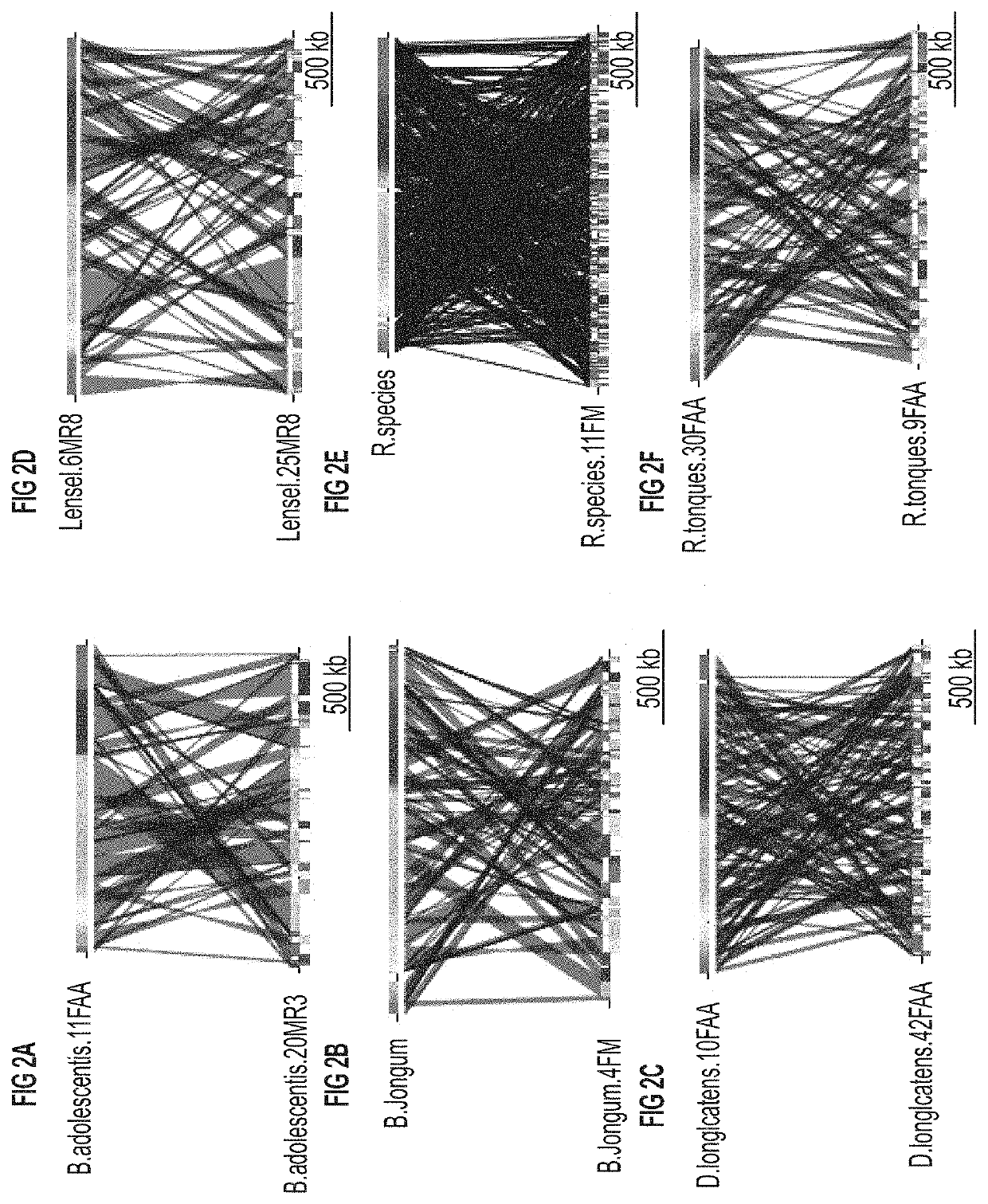 Systems and methods for treating a dysbiosis using fecal-derived bacterial populations