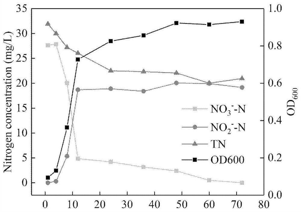 Compound bacterial strain, fungicide and application of compound bacterial strain and fungicide