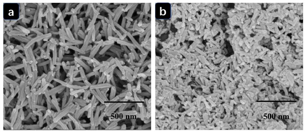 A high density fe-n  <sub>4</sub> Preparation method and application of active site oxygen reduction electrocatalyst