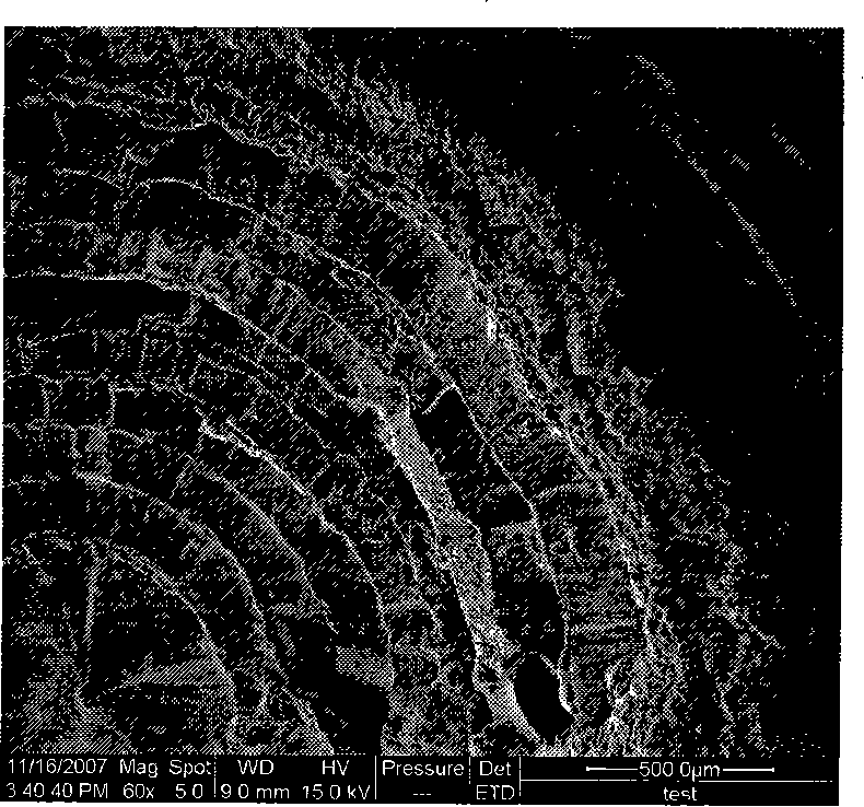 Periodic concentric layered shell polysaccharide aquagel, construction method and application thereof