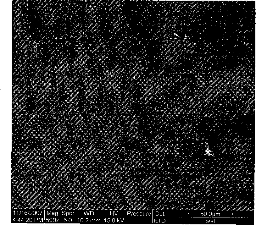 Periodic concentric layered shell polysaccharide aquagel, construction method and application thereof