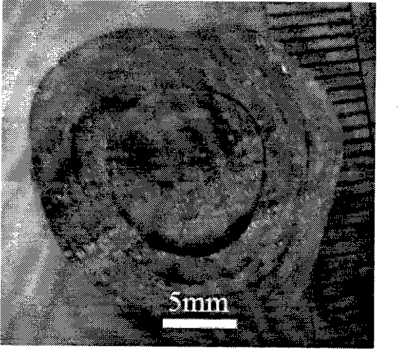 Periodic concentric layered shell polysaccharide aquagel, construction method and application thereof