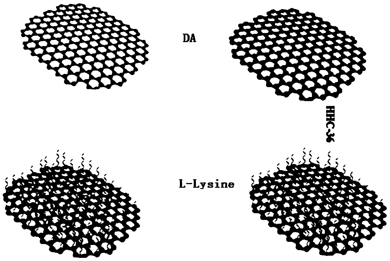 Chemotactic antibacterial nanometer material, and preparation method and application thereof