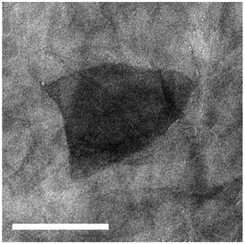 Chemotactic antibacterial nanometer material, and preparation method and application thereof