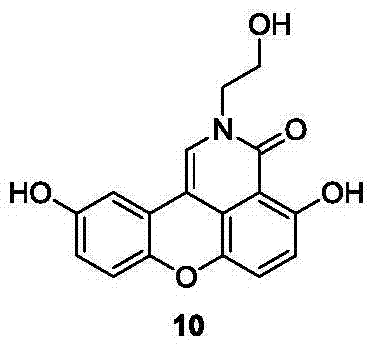 Sparganiaceae lactone B derivative as well as preparation method and use thereof