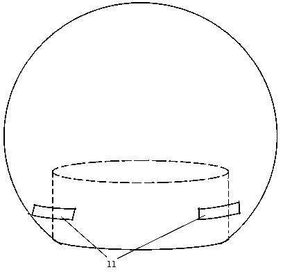 Prostate therapeutic apparatus