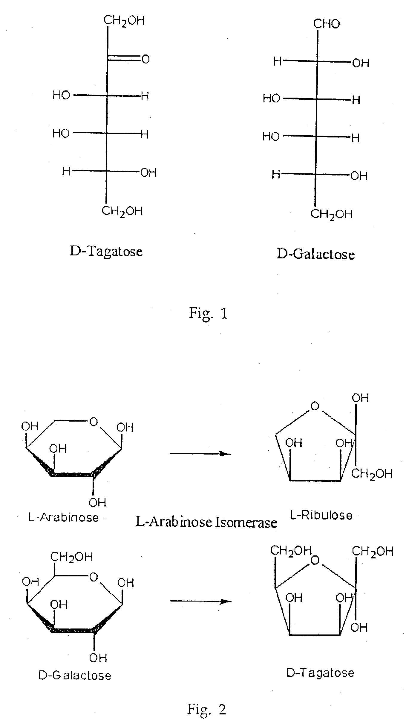 Biological tagatose production by recombinant Escherichia coli