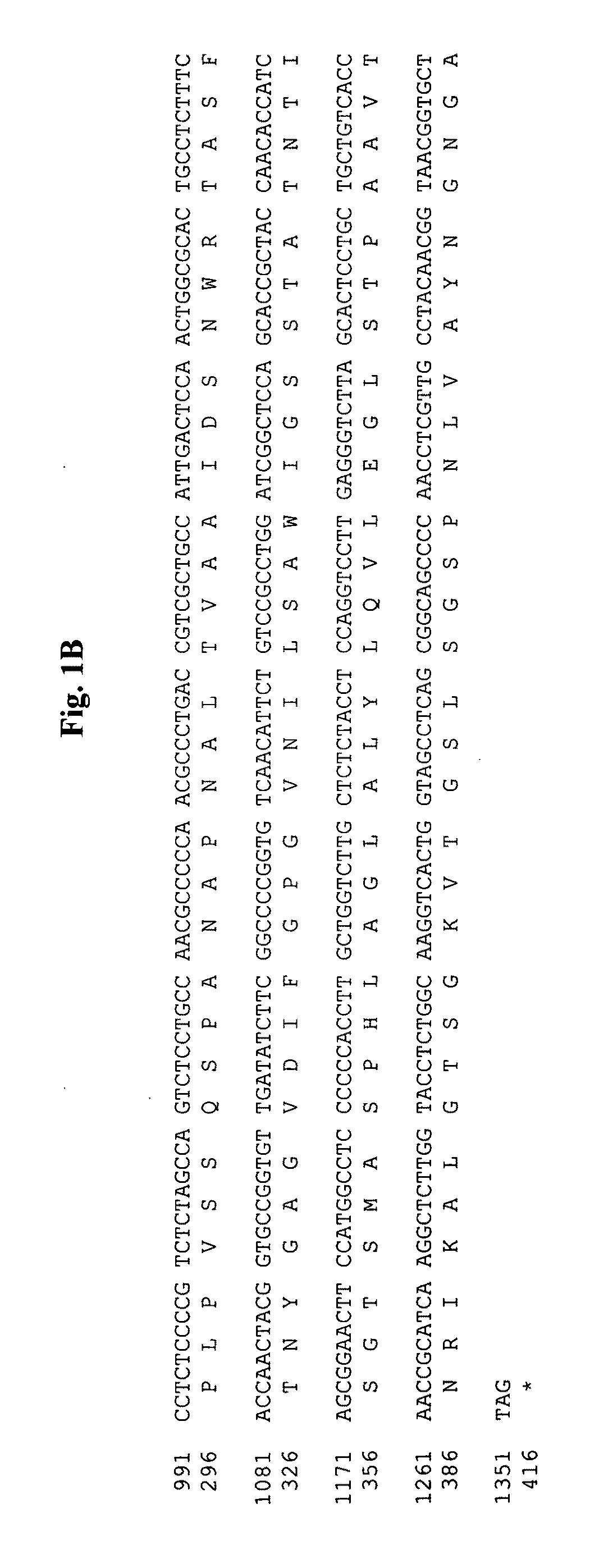 Fungal serine protease and use thereof