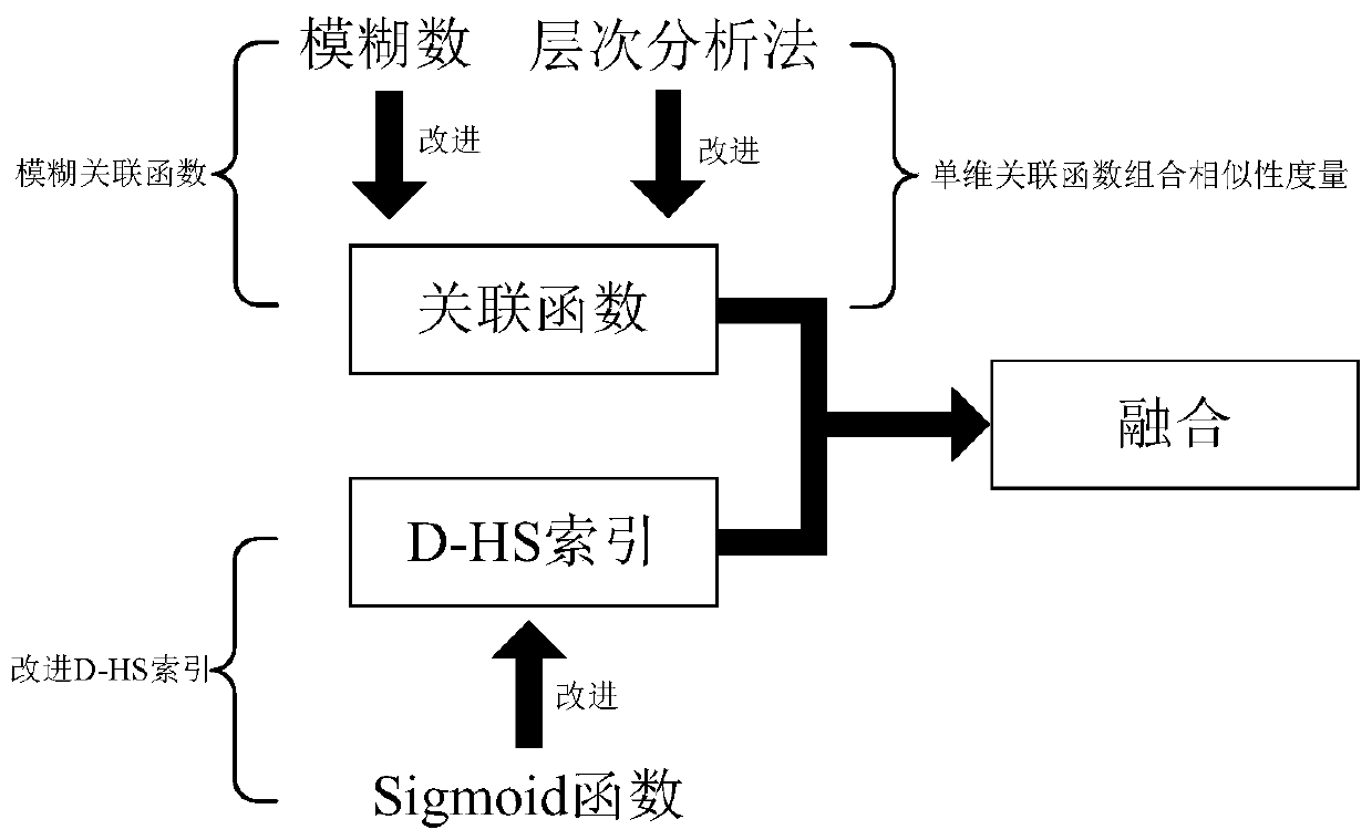 Instance retrieval method based on fusion of association function and D-HS index