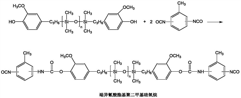 Preparation method of cast nylon 6 polydimethylsiloxane copolymer