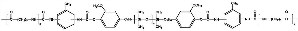 Preparation method of cast nylon 6 polydimethylsiloxane copolymer