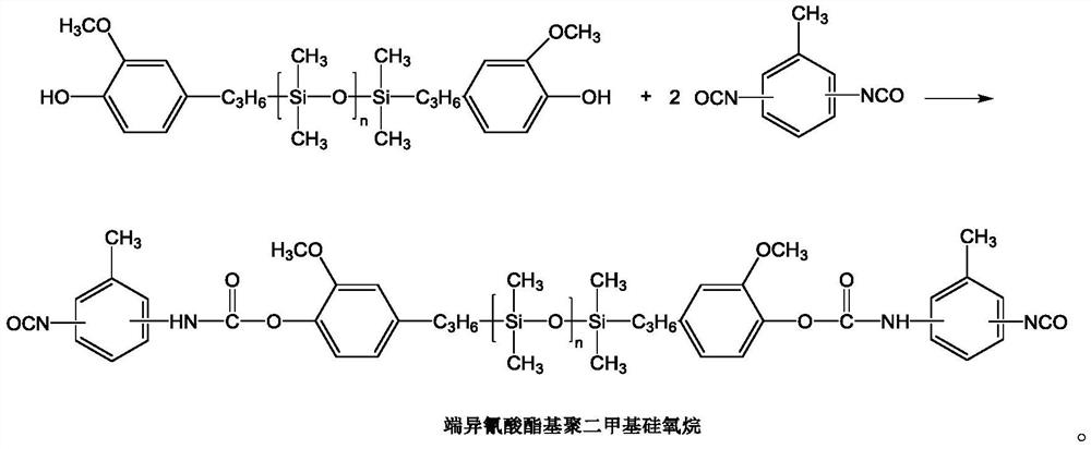 Preparation method of cast nylon 6 polydimethylsiloxane copolymer