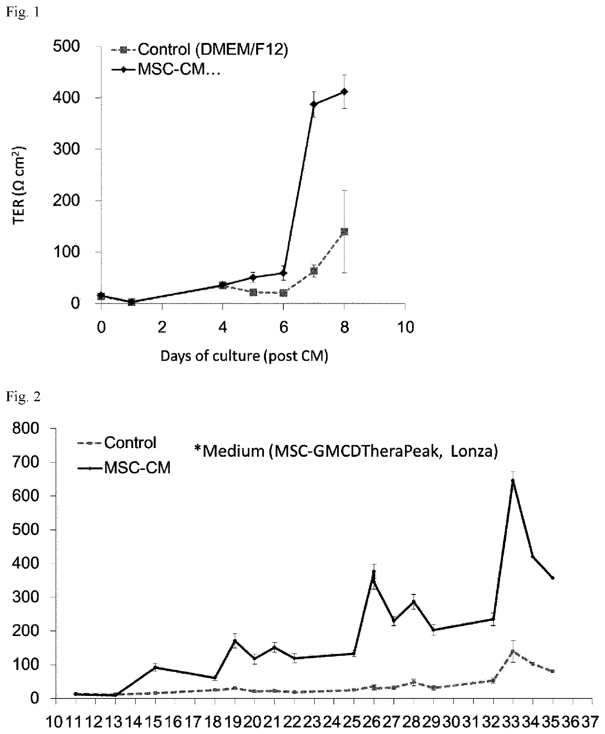 Stratified squamous epithelial cell normal differentiation and maturation promoting agent, epithelial disease therapeutic agent, and stratified squamous epithelial cell normal differentiation and maturation promoting method