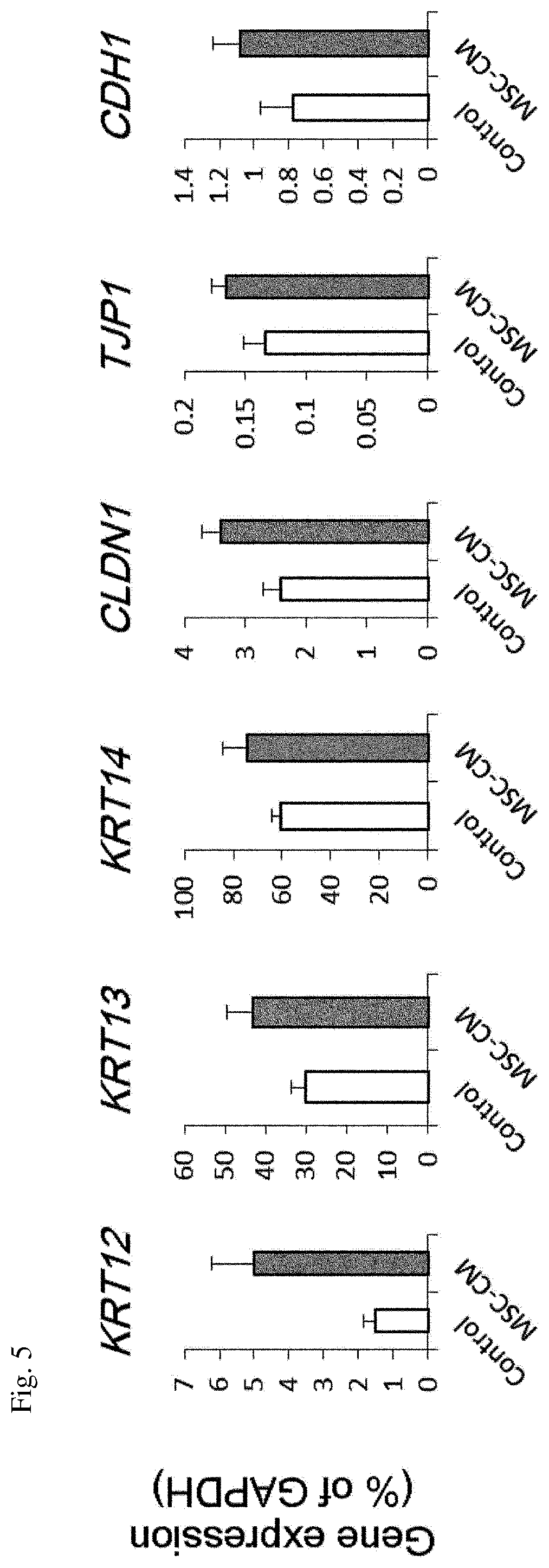 Stratified squamous epithelial cell normal differentiation and maturation promoting agent, epithelial disease therapeutic agent, and stratified squamous epithelial cell normal differentiation and maturation promoting method
