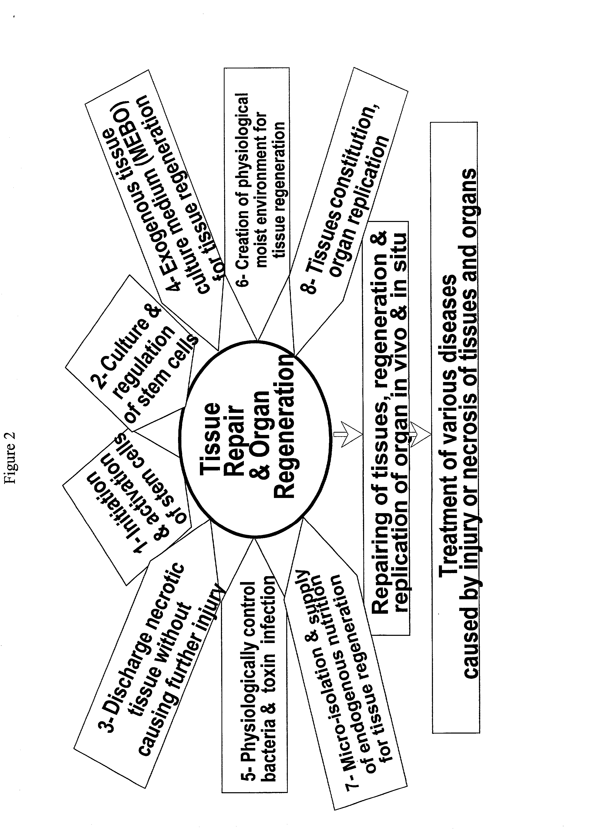 Method and composition for repairing and promoting regeneration of mucosal tissue in the gastrointestinal tract