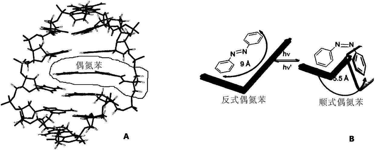 Compound containing azobenzene base element and preparation method and application of compound