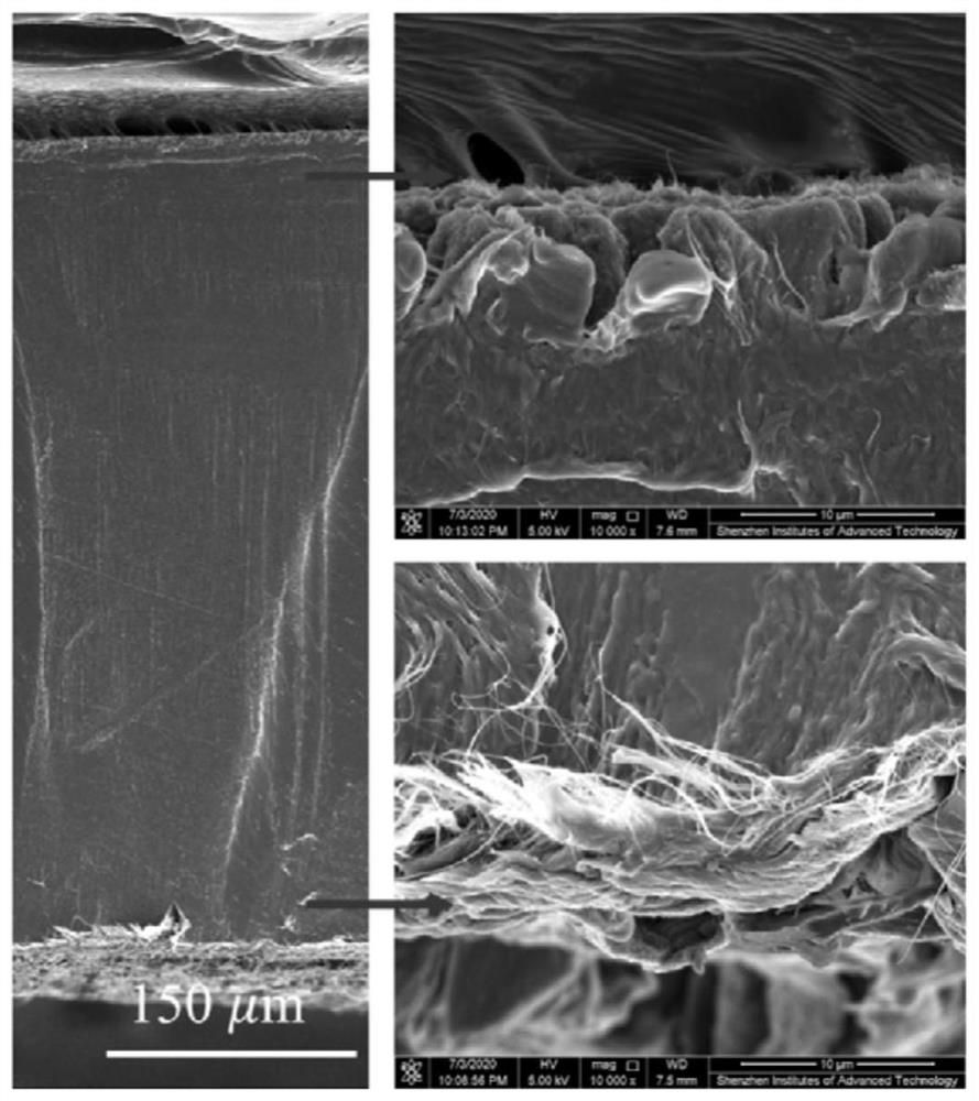 Carbon nanotube thermal interface material as well as preparation method and application thereof